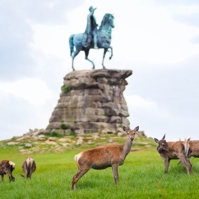 Windsor Great Park